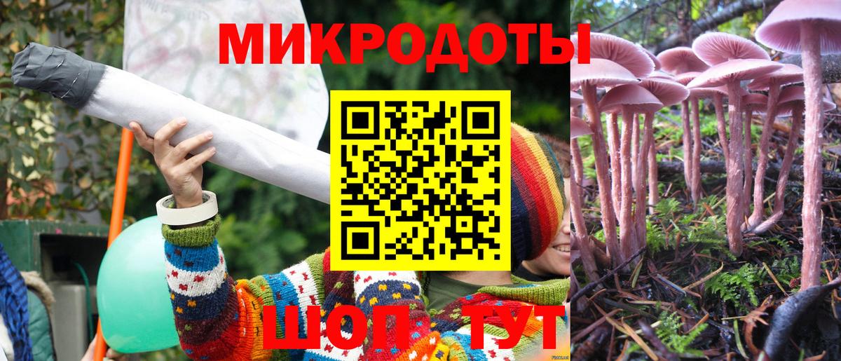 Галлюциногенные грибы Psilocybine cubensis Советская Гавань