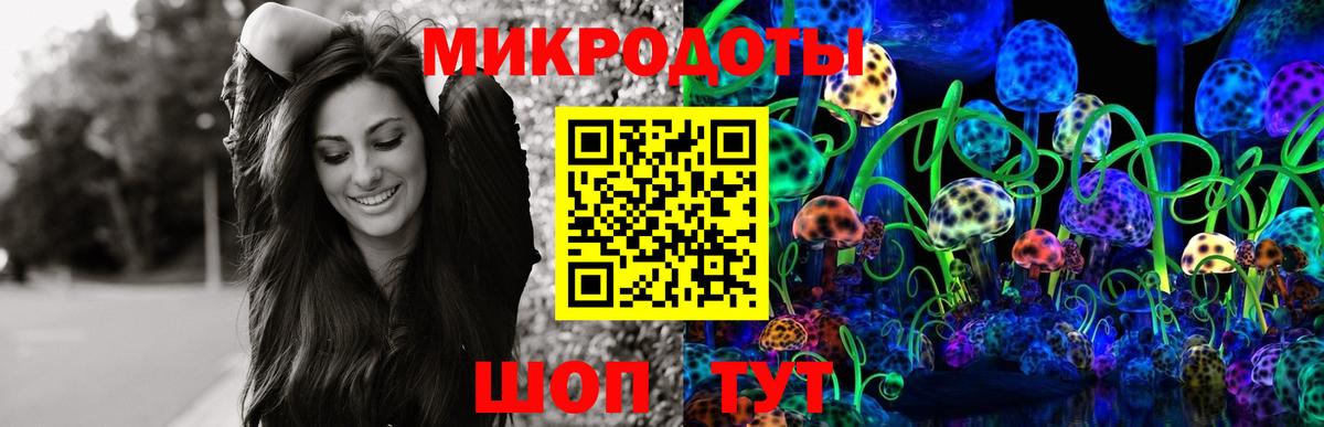 Галлюциногенные грибы Psilocybe  Вход с VPN  Советская Гавань 