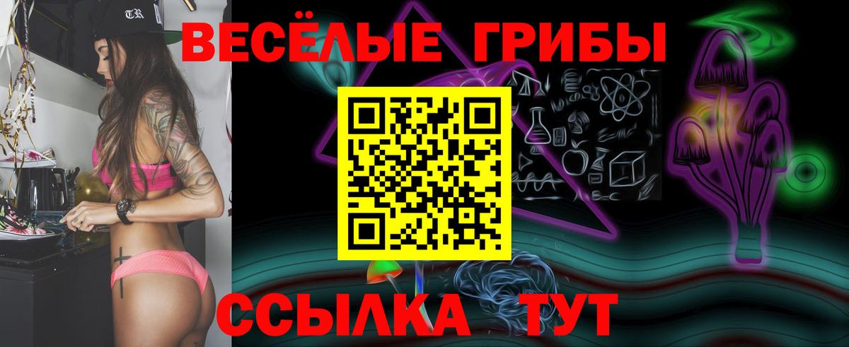 ГАШ Советская Гавань